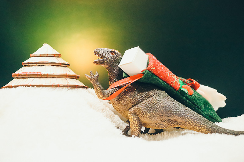 嘉興市運抵到秘魯——利馬全球城市出口貨運配送簡述 嘉興市運抵到秘魯——利馬全球城市出口貨運配送簡述