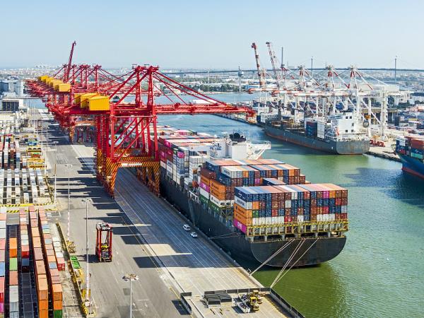 北京市到埃及——坦塔貨運(yùn)代理公司合作