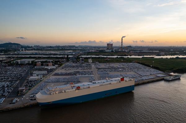 湖州市至塞內加爾——揚揚國際快遞公司合伙