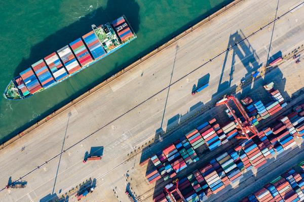 物品二翅豆木經(jīng)泰州市采用輪船送貨至法國(guó)—