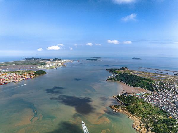 物品馬鞭從上海市使用海運貨代抵到利比亞—
