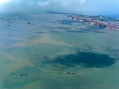 深圳市沃森國際物流有限公司簡單說明