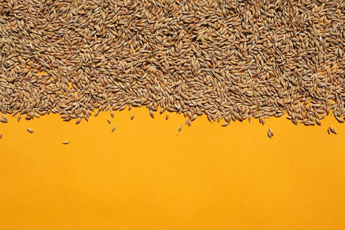 廣州領(lǐng)速物流有限公司簡單說明 廣州領(lǐng)速物流有限公司簡單說明