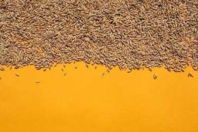 廣州領(lǐng)速物流有限公司簡(jiǎn)單說明