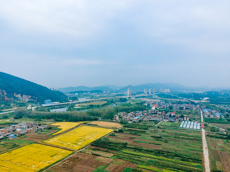 找頌唯物流海運家具到加拿大溫哥華就那么簡單