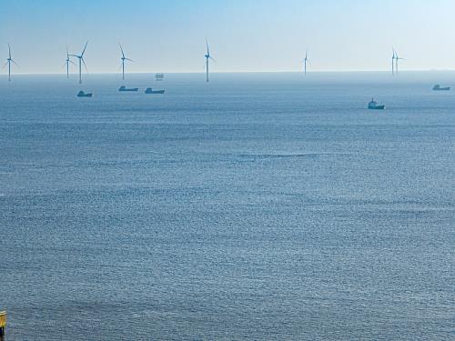 [外貿術語]ams是什么意思_外貿術語_外貿知