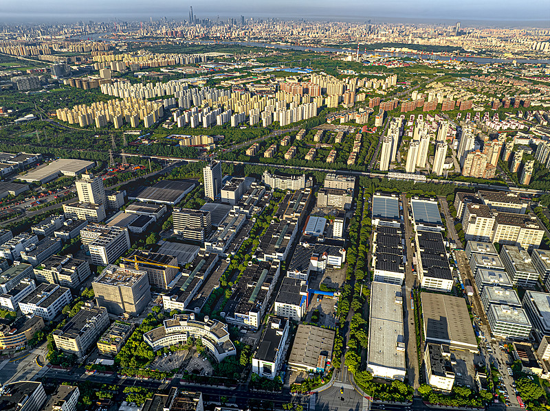 國際快遞服務全解析，怎么選擇適合的物流公司？