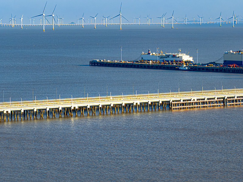 2025美國FBA海運通關攻略：中國賣家在合規與風險間突圍