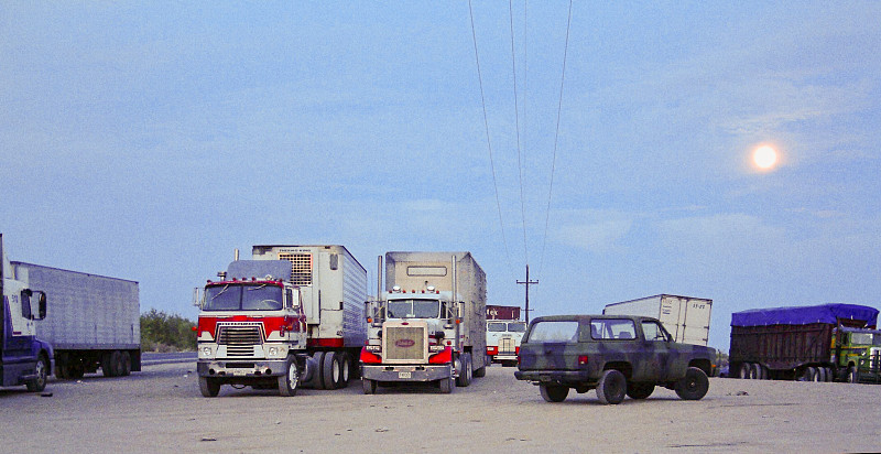 上半年我國進出口規模創歷史同期新高 外貿如何逆勢實現穩中向好？
