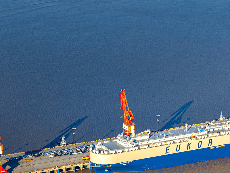 最新 | 7.14美國海關查驗亞馬遜/沃爾瑪送倉以及港口周情況更新！