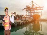 海運費“跌跌不休”,十周連降敲響行業警鐘!(國際海運新聞資訊)