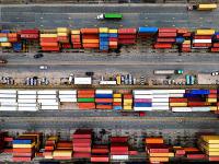 商品蔬菜從石家莊市采取空運運輸抵達埃及——布什