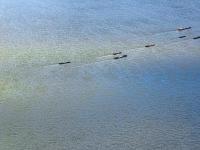 廣州萬之象物流有限公司東莞黃江營業(yè)部