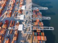 伍彩鳥（廣州）物流科技有限公司簡單素材