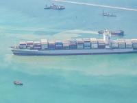 廣西順豐與桂平荔枝達成物流服務合作