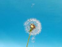 岸線使用獲批!洋山港區(qū)碼頭“擴容”再提速!