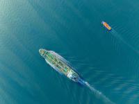 拼多多回應與香港順豐合作終止：可切換其他自提點