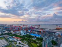 物品白楊木經(jīng)北京市采用輪船貨代至幾內(nèi)亞——馬林法拉