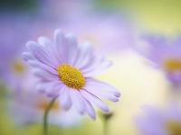 全環節貿易數位化,讓糧貿企業降低30%成本