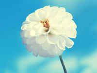 汕頭國內(nèi)航線燃油附加費提價旅客均反應(yīng)平靜