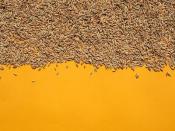 廣州領(lǐng)速物流有限公司簡單說明