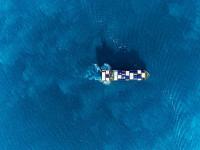 聚焦中美經貿：商務部回應美取消相關限制措施情況（國際貿易新聞資訊）