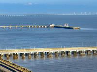 貨品緬茄木從唐山市采用海運(yùn)運(yùn)送至印度尼西亞——巴東