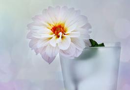 達飛將成立新合資公司,深化中東港口布局