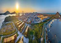 4月漲價！MSC提高從遠東到北歐的費率