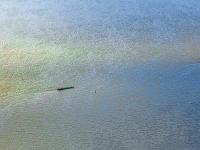 深圳市芃城物流有限公司