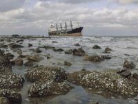 到2026年，干散貨新船交付量將達到六年來的最高水平