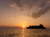 進口集裝箱運輸如何避免滯箱