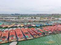 土耳其修改進口動物產品等食品認可要求