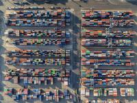 如何選擇國際快遞和動物托運注意事項