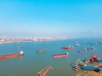 寧波舟山港上半年成績單來了