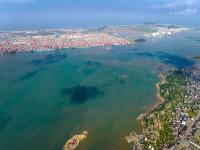 廣州奇飛暢物流有限公司