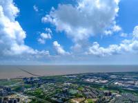 美國橙汁還要漲價？美企狀告政府加征關稅致成本激增近七千萬