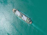 美法官叫停哈佛國際生“禁招令”后，特朗普發文辯解