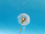 提高效率!里加港加快采用數字物流平臺上海