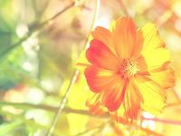 巴斯夫湛江一體化基地靠泊首艘外貿船舶