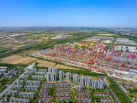 深圳市極風國際物流有限公司