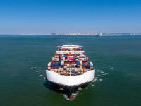 SITC：2024年業務表現良好，利潤飆升