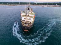 暴漲533%！取消所有掛靠船次！運價進一步飆升！鹽田港問題和船運加息逼瘋托運人→