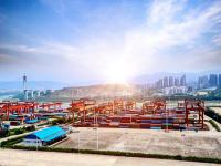 貨品紅錐木經青島市采用輪船快遞到幾內亞——萊內