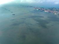 由于全球不確定性，奧克蘭港6月份集裝箱量下降