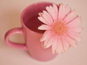 提高效率!里加港加快采用數字物流平臺上海