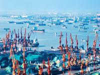 以星快船ZEX帶托架與不帶托架有什么區別？