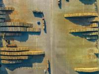 長三角、珠三角樞紐港外貿重箱吞吐量大幅下降