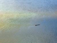 多多買菜試驗自建倉，最快8月上線即時配送服務