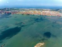 樣品針茅從濱州市使用飛機貨運至尼日利亞——安卡